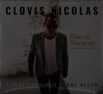 Blues in blueprint - 12 variations on th