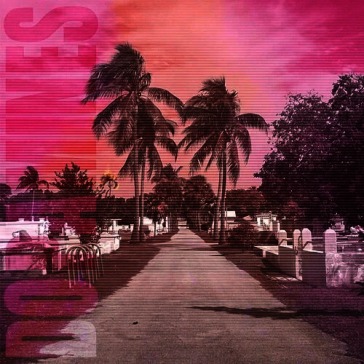 80/20 (colored vinyl)