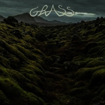 Grass