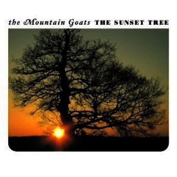 The sunset tree