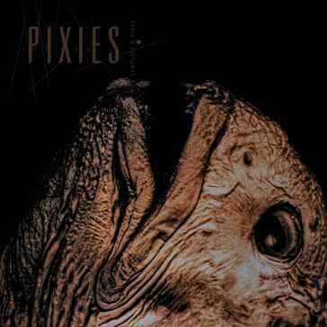Complete b sides