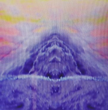 No silver bird/narcissus