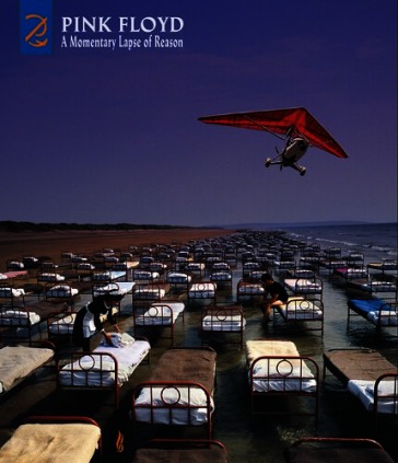 Momentary lapse of reason