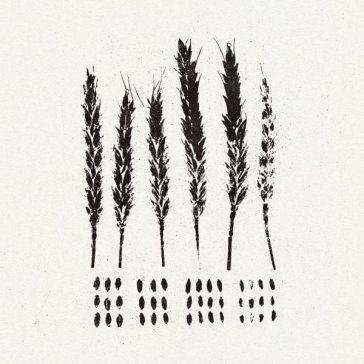The gleaners