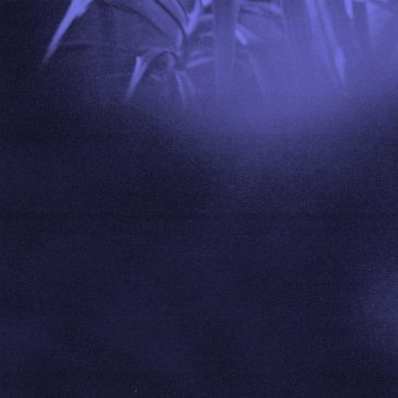 Nocturnal journey