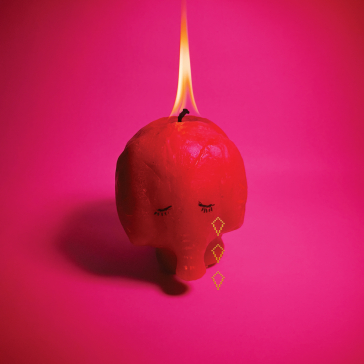 Pink elephant (lp black)