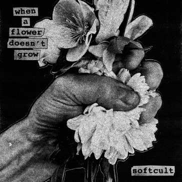 When a flower doesn t grow