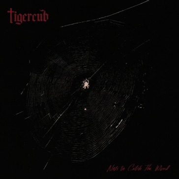 Nets to catch the wind (vinyl grey)