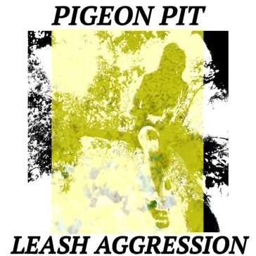 Leash aggression