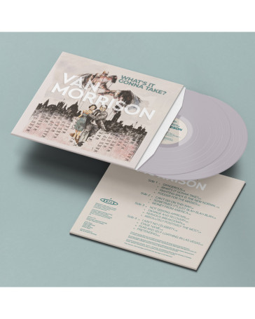 What's it gonna take (vinyl dove gray)