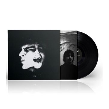 Diy (vinile)