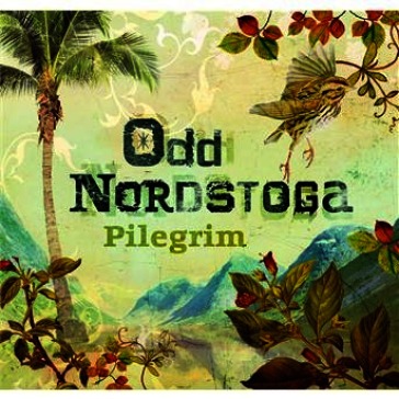 Pilegrim