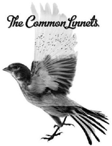 The common linnets
