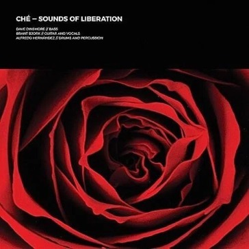 Sounds of liberation (half half white/re