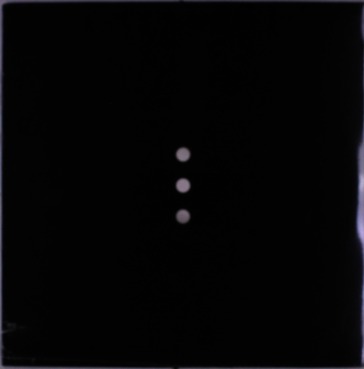 Imago