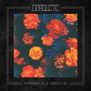 Animate // isolate