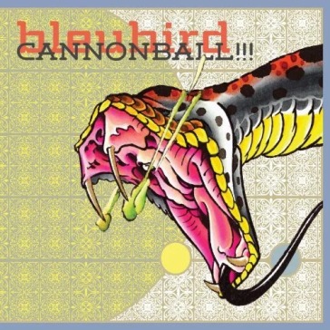 Cannonbal!!!
