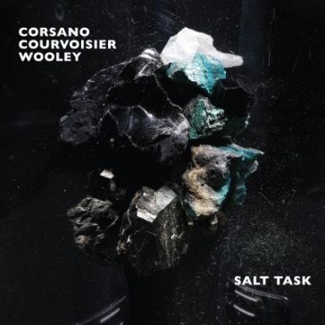 Salt task