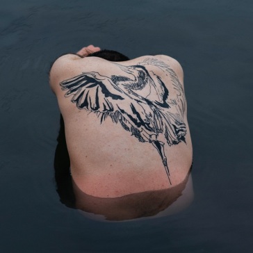 Blue heron