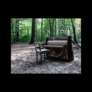 Acoustic ii
