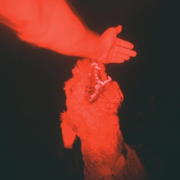 A trick of the light