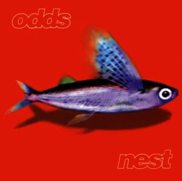 Nest