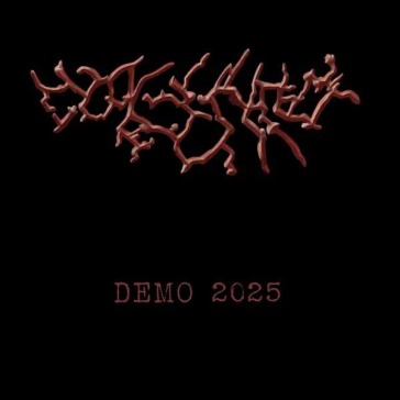 Demo 2025