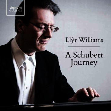 A schubert journey