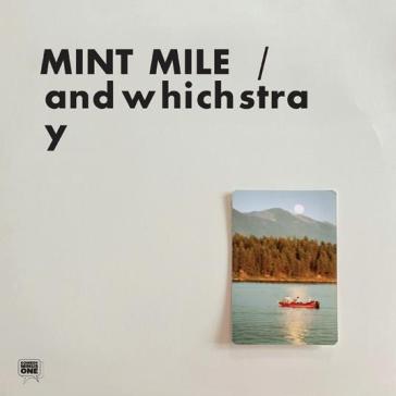 Andwhichstray