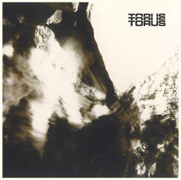 Torus