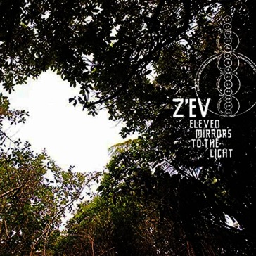 Eleven mirrors to the light