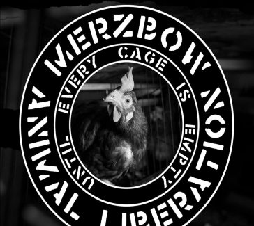 Animal liberation...