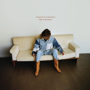 Highs in the minuses - blue vinyl
