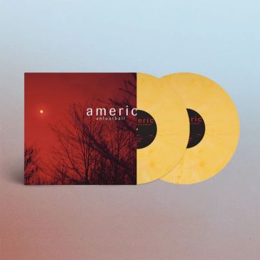 Lp 4