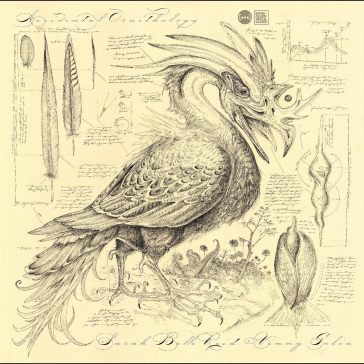 Accidental ornithology