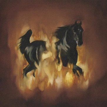Are the dark horse