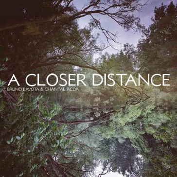 A closer distance (transparent purple vi