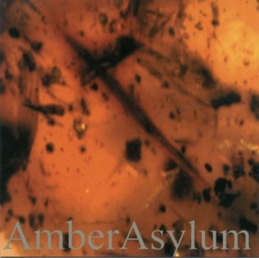 Frozen in amber