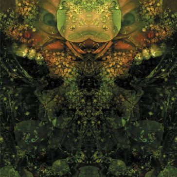 Edward s lament