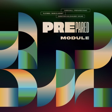Module (lp + mp3)