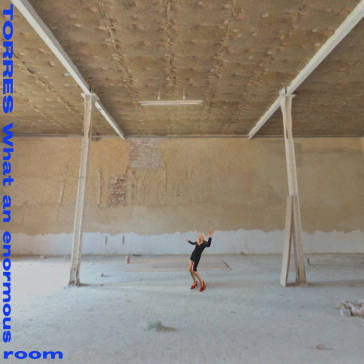What an enormous room (blue & white viny