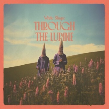 Through the lupine