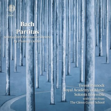 Bach: partitas (re- imagined for small o