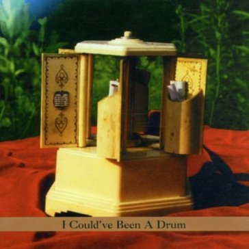 I could've been a drum