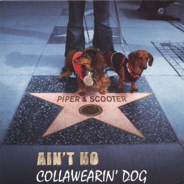 Ain t no collawearin  dog