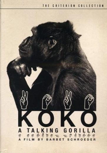 Koko:talking gorilla