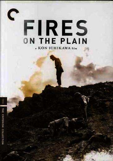 Fires on the plain