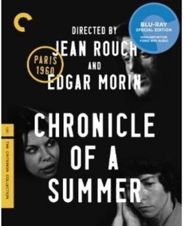 Chronicle of a summer