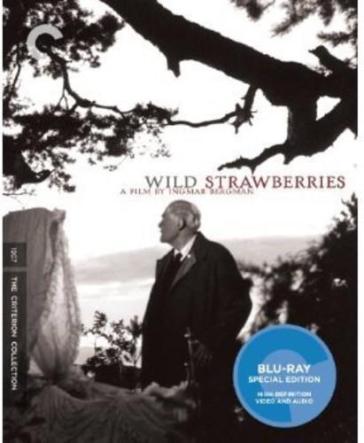 Wild strawberries