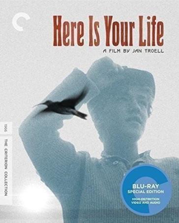 Here is your life